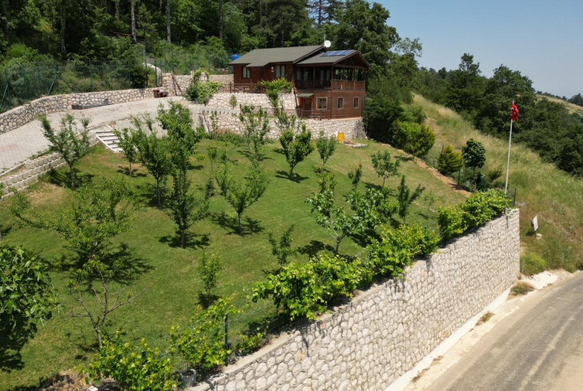 Dağyenice’de Eşsiz Proje: Göl Manzaralı Tarla ve Ahşap Ev