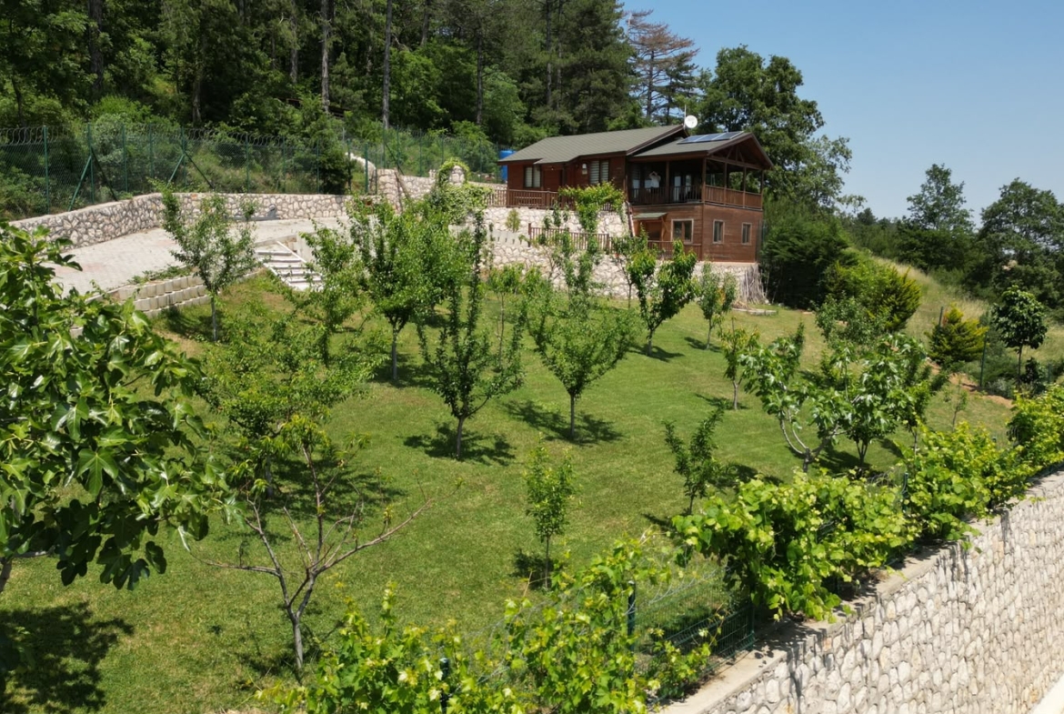 Dağyenice’de Eşsiz Proje: Göl Manzaralı Tarla ve Ahşap Ev