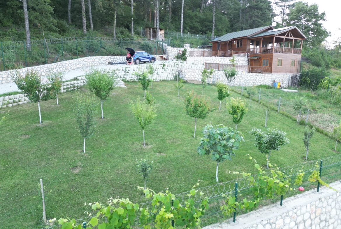 Dağyenice’de Eşsiz Proje: Göl Manzaralı Tarla ve Ahşap Ev
