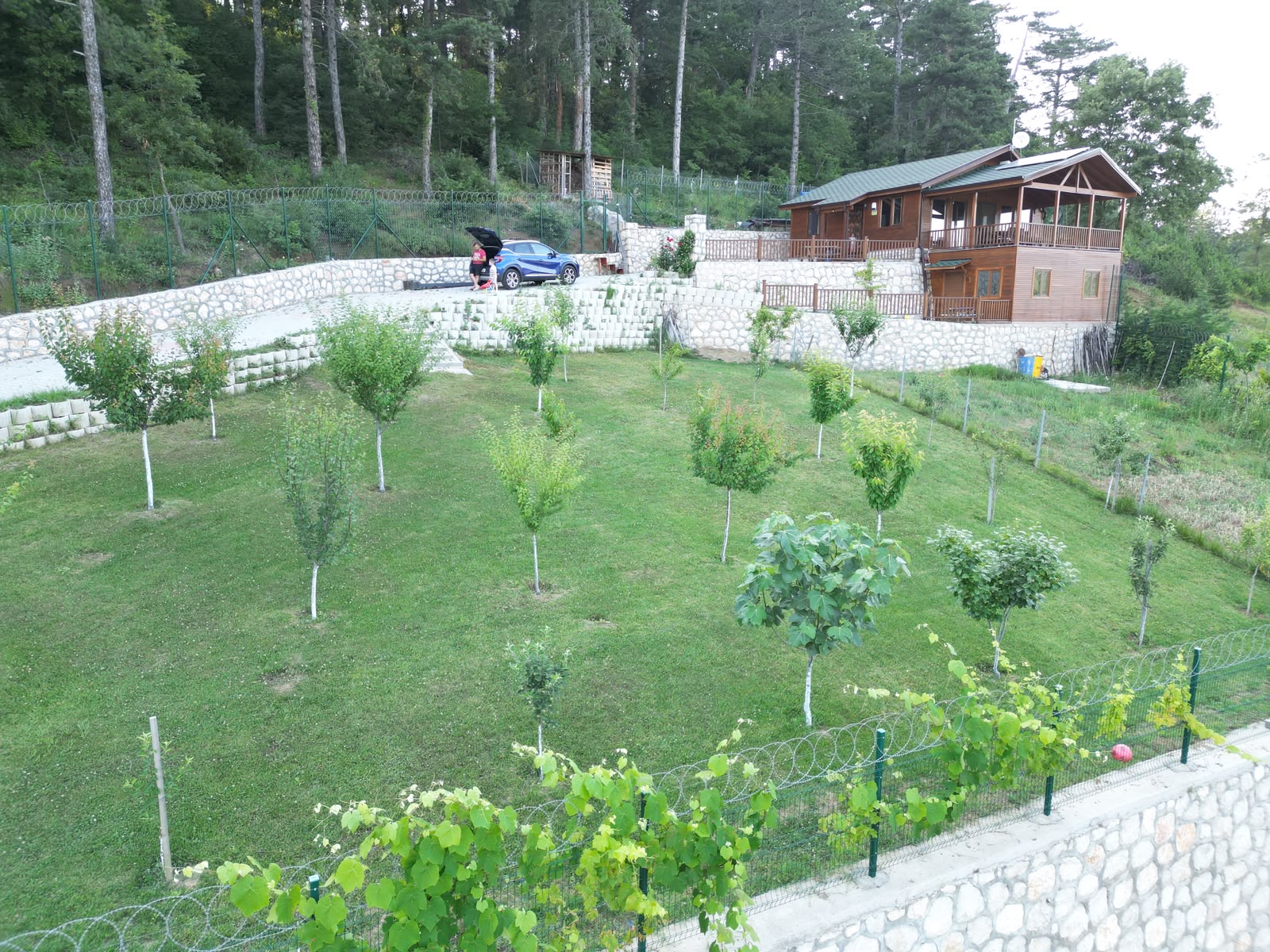 WhatsApp Image 2026-06-24 at 15.31.55 (4) Dağyenice’de Eşsiz Proje: Göl Manzaralı Tarla ve Ahşap Ev