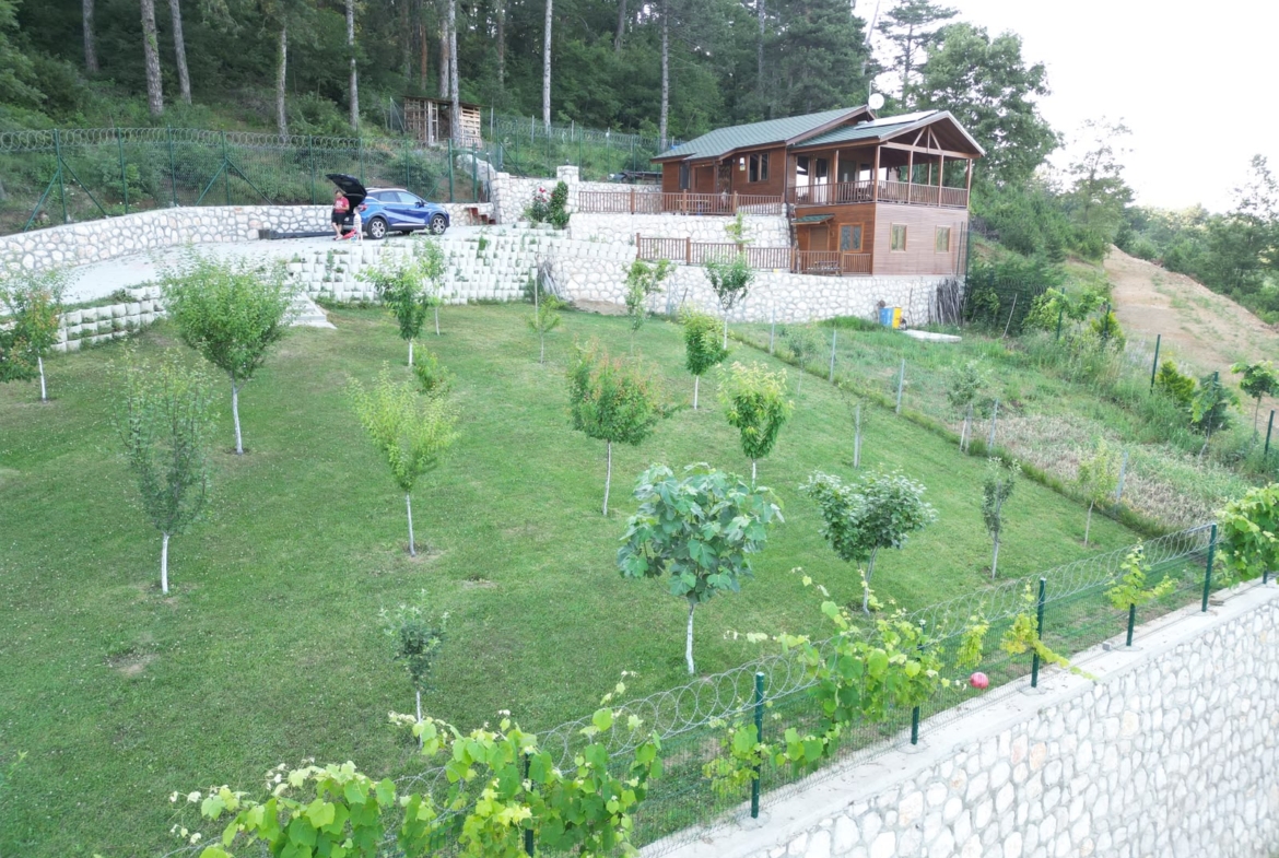 Dağyenice’de Eşsiz Proje: Göl Manzaralı Tarla ve Ahşap Ev