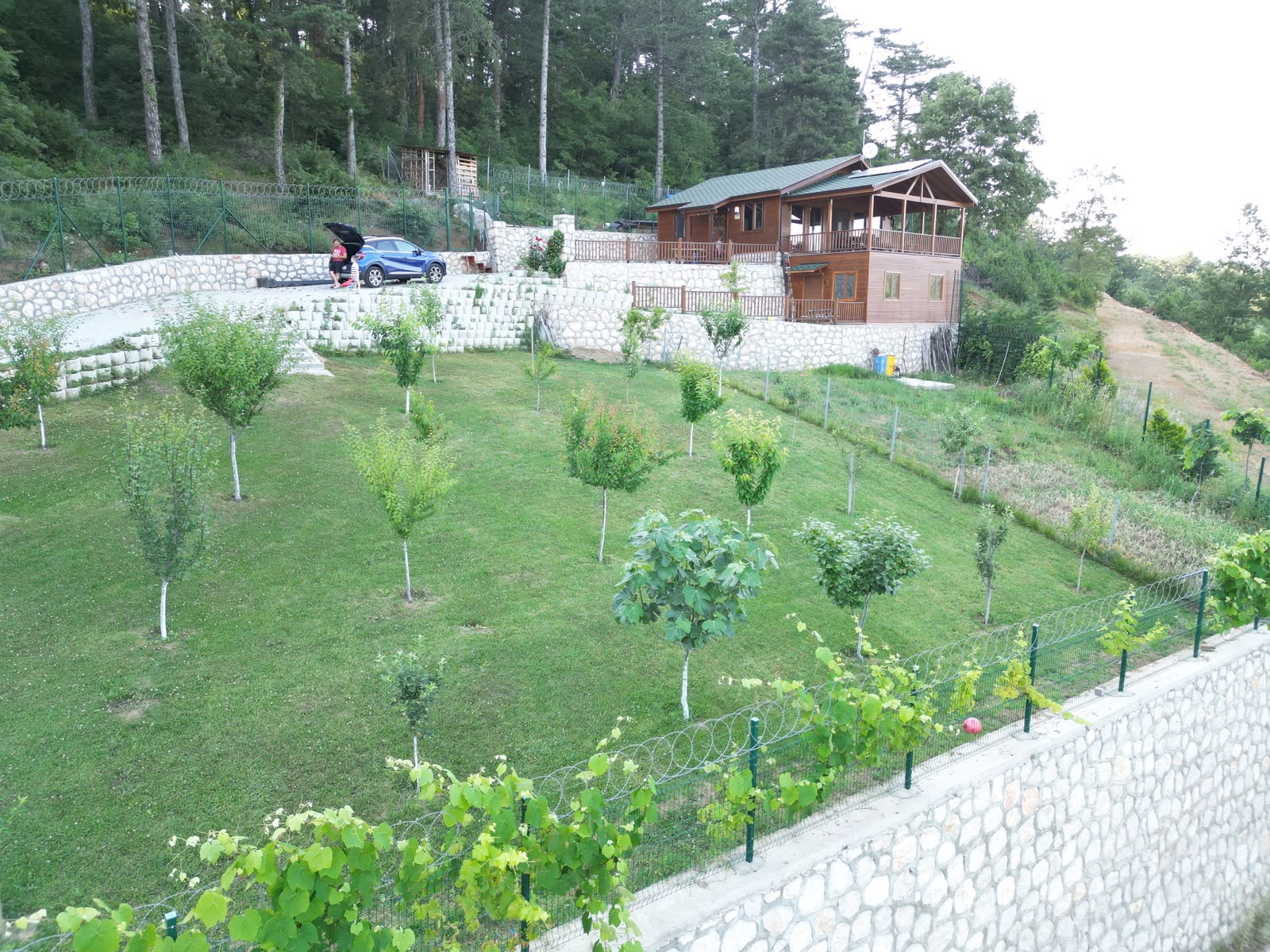 WhatsApp Image 2026-06-24 at 15.31.55 (5) Dağyenice’de Eşsiz Proje: Göl Manzaralı Tarla ve Ahşap Ev