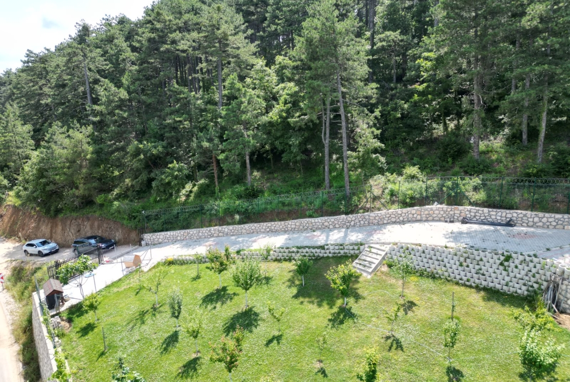 Dağyenice’de Eşsiz Proje: Göl Manzaralı Tarla ve Ahşap Ev