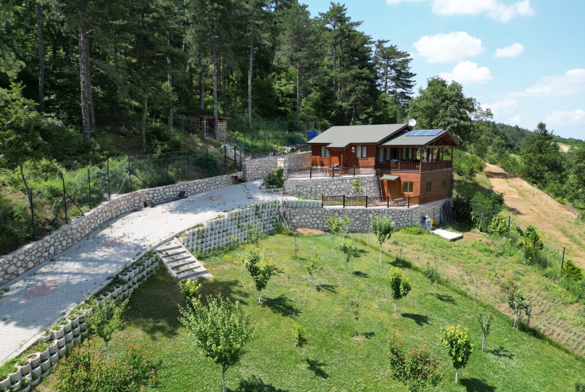 Dağyenice’de Eşsiz Proje: Göl Manzaralı Tarla ve Ahşap Ev