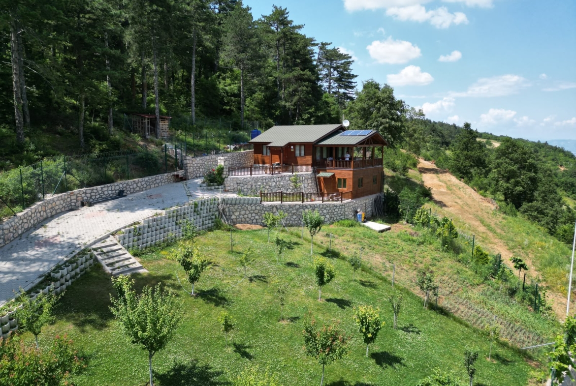 Dağyenice’de Eşsiz Proje: Göl Manzaralı Tarla ve Ahşap Ev