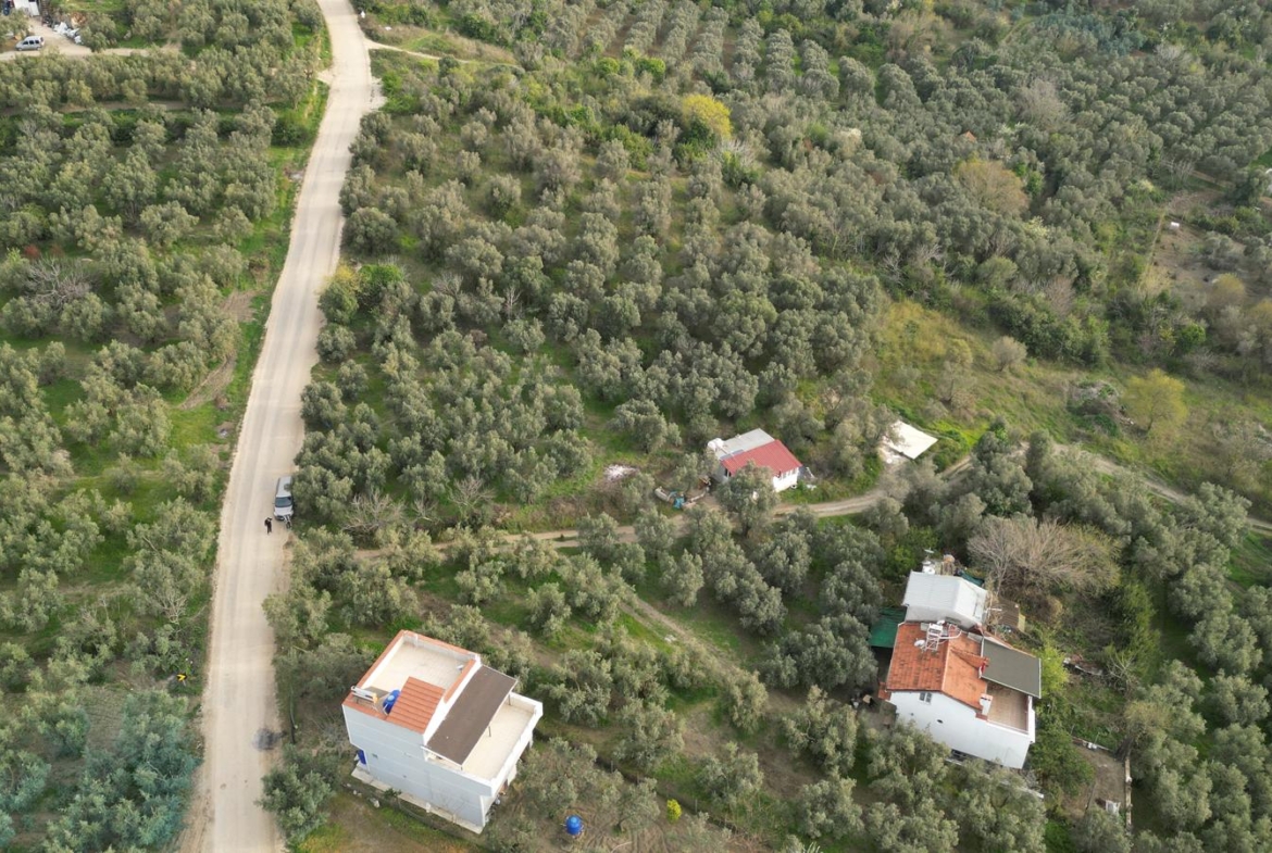 MUDANYA EŞKEL ESENCE’DE TEK TAPULU 325M2 SATILIK TARLA(ZEYTİNLK)