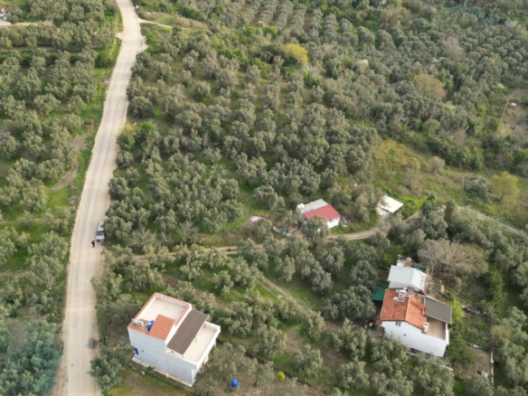 MUDANYA EŞKEL ESENCE’DE TEK TAPULU 325M2 SATILIK TARLA(ZEYTİNLK)