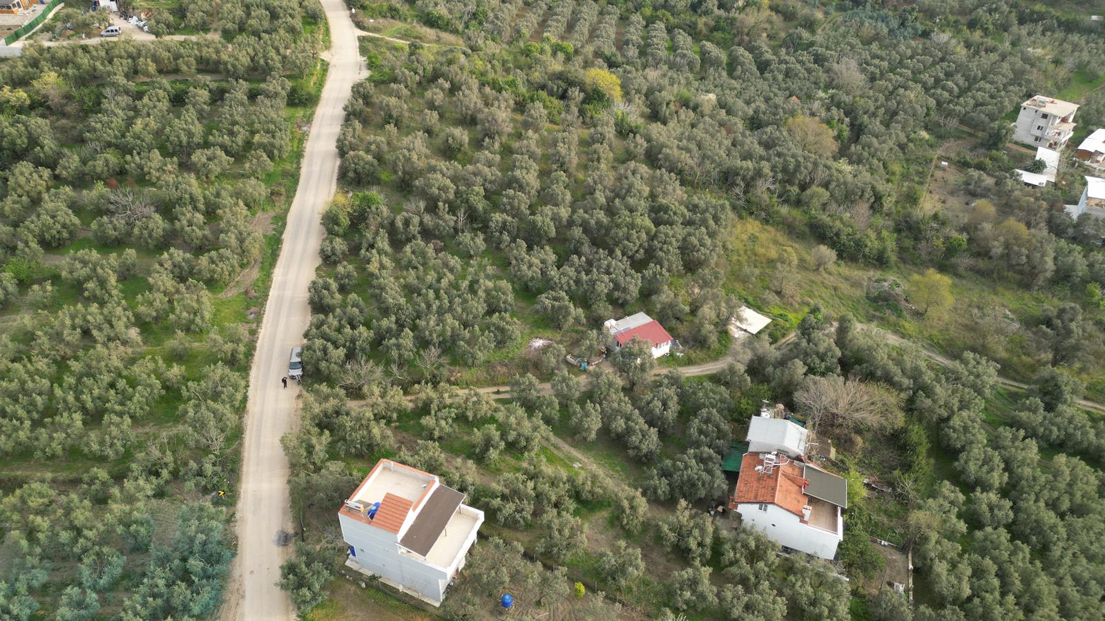 WhatsApp Image 2026-06-26 at 12.25.34 MUDANYA EŞKEL ESENCE’DE TEK TAPULU 325M2 SATILIK TARLA(ZEYTİNLK)