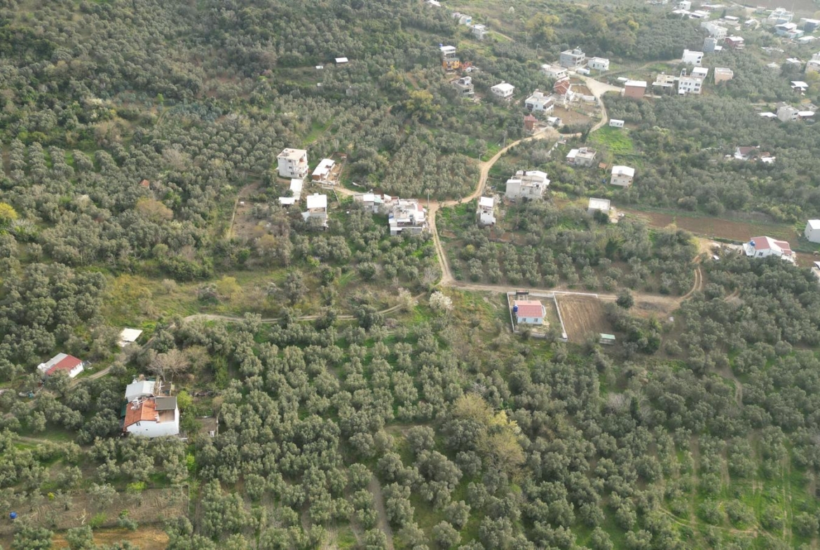 MUDANYA EŞKEL ESENCE’DE TEK TAPULU 325M2 SATILIK TARLA(ZEYTİNLK)