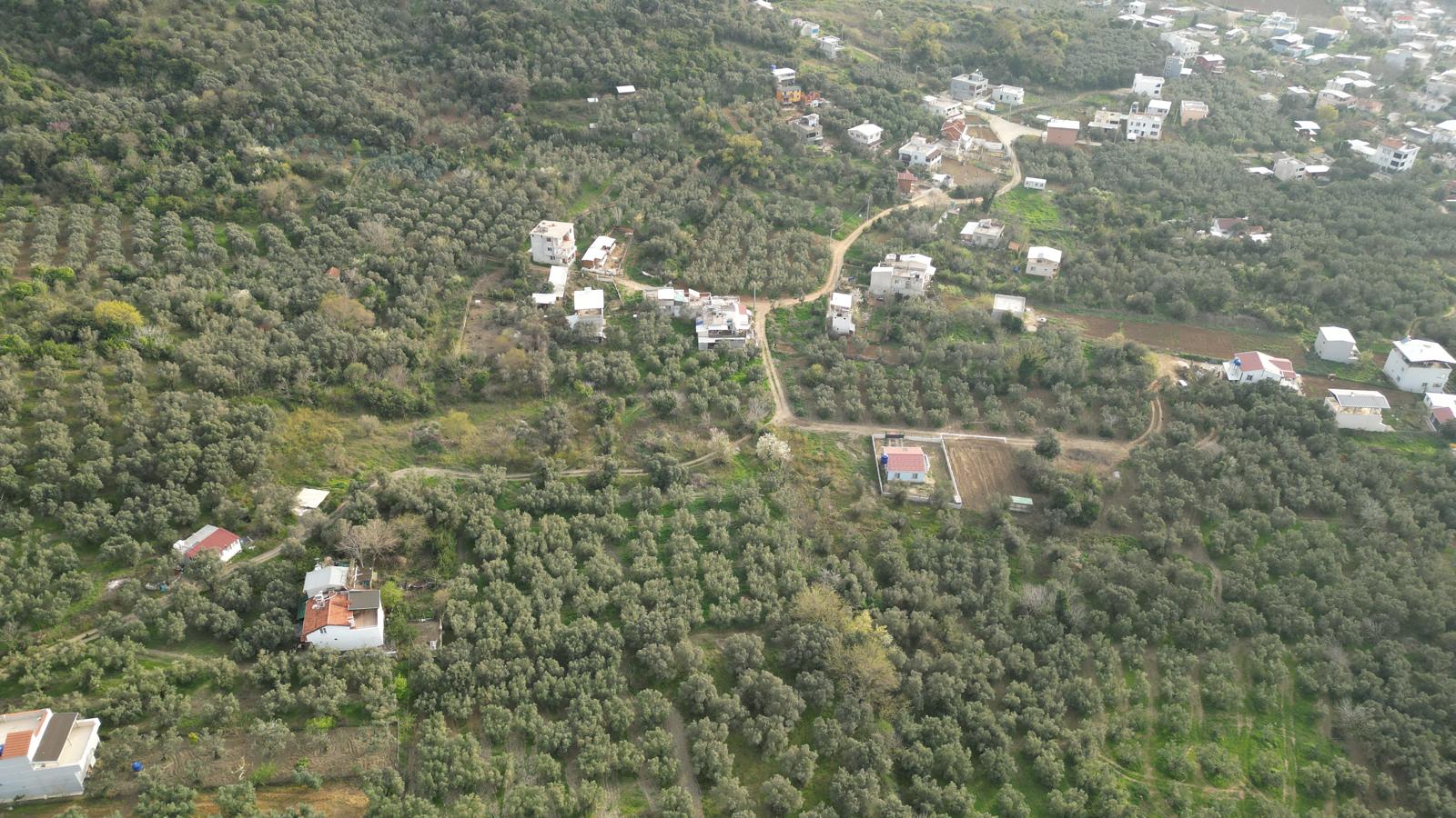 WhatsApp Image 2026-06-26 at 12.25.36 (1) MUDANYA EŞKEL ESENCE’DE TEK TAPULU 325M2 SATILIK TARLA(ZEYTİNLK)