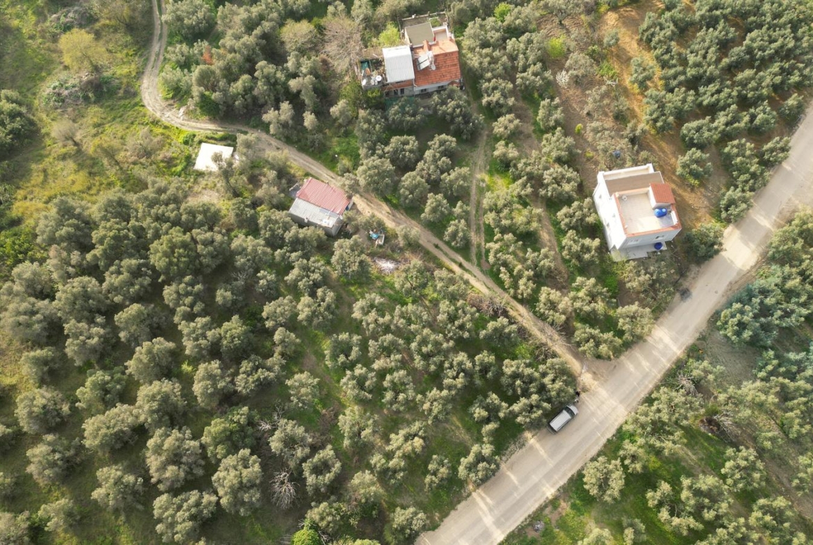 MUDANYA EŞKEL ESENCE’DE TEK TAPULU 325M2 SATILIK TARLA(ZEYTİNLK)