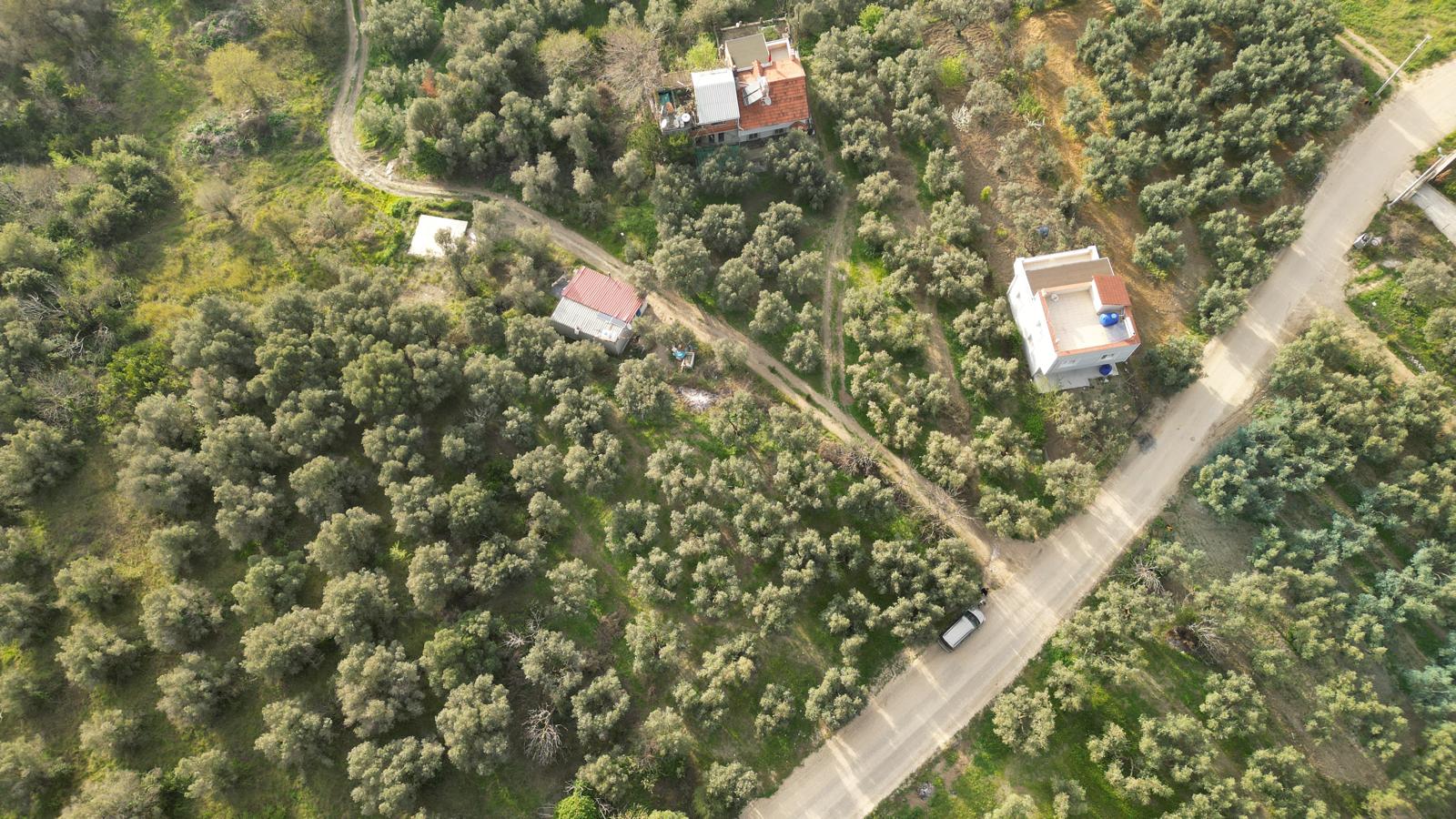 WhatsApp Image 2026-06-26 at 12.25.36 (10) MUDANYA EŞKEL ESENCE’DE TEK TAPULU 325M2 SATILIK TARLA(ZEYTİNLK)