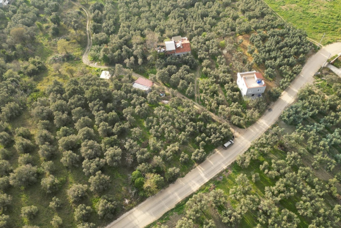 MUDANYA EŞKEL ESENCE’DE TEK TAPULU 325M2 SATILIK TARLA(ZEYTİNLK)