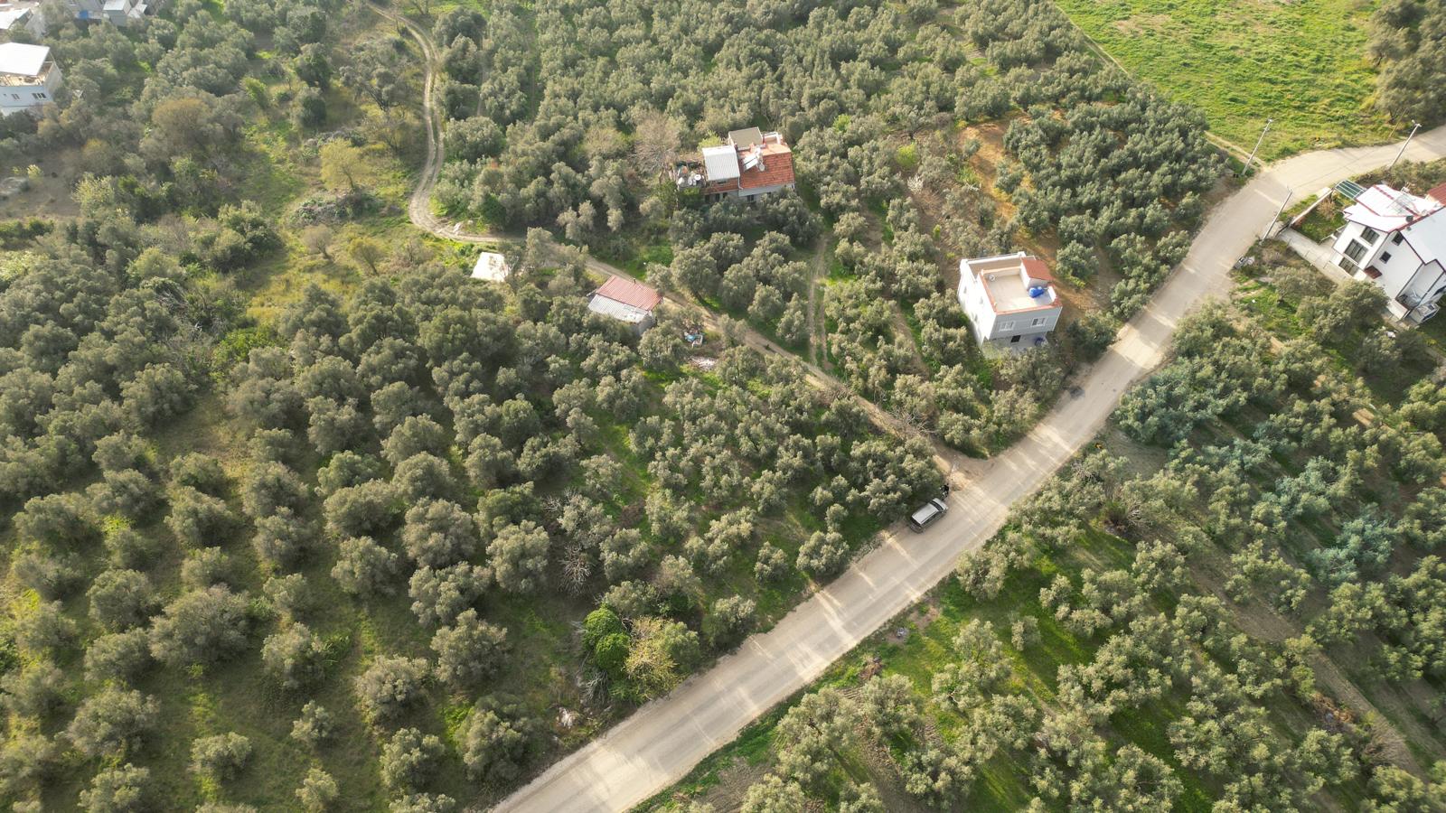 WhatsApp Image 2026-06-26 at 12.25.36 (11) MUDANYA EŞKEL ESENCE’DE TEK TAPULU 325M2 SATILIK TARLA(ZEYTİNLK)