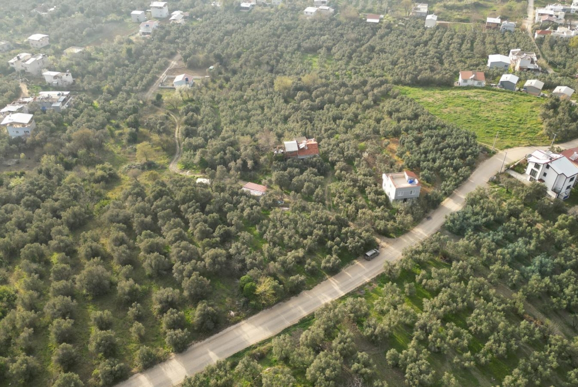 MUDANYA EŞKEL ESENCE’DE TEK TAPULU 325M2 SATILIK TARLA(ZEYTİNLK)
