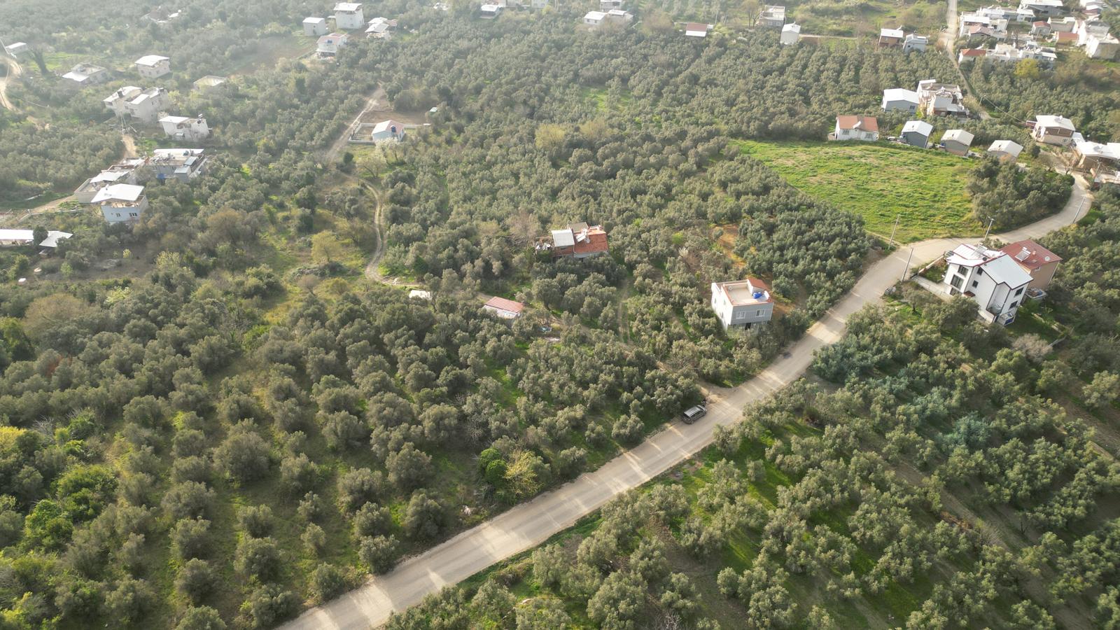 WhatsApp Image 2026-06-26 at 12.25.36 (12) MUDANYA EŞKEL ESENCE’DE TEK TAPULU 325M2 SATILIK TARLA(ZEYTİNLK)