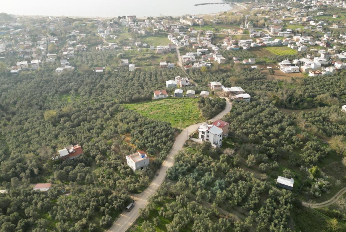 MUDANYA EŞKEL ESENCE’DE TEK TAPULU 325M2 SATILIK TARLA(ZEYTİNLK)