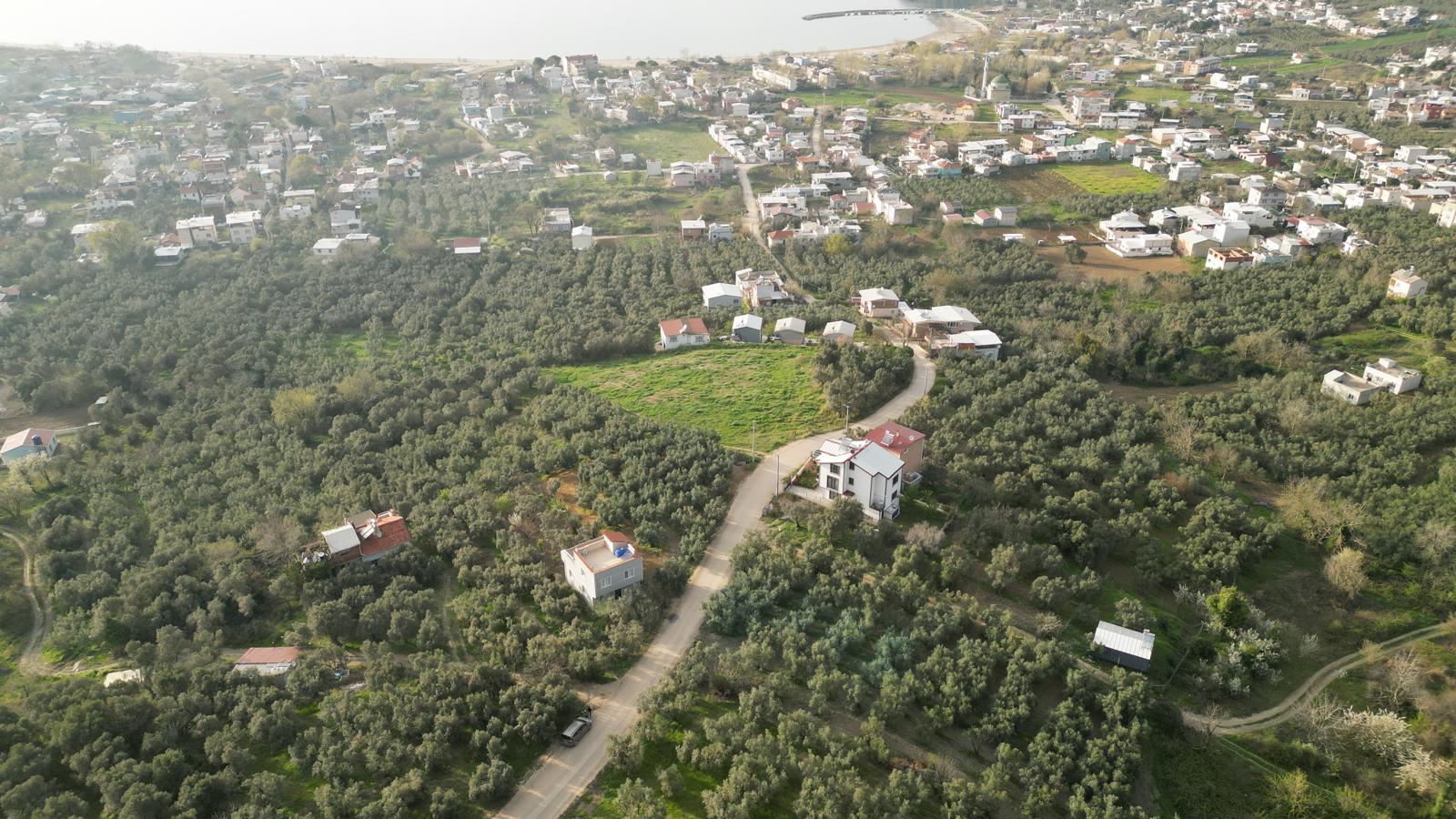 WhatsApp Image 2026-06-26 at 12.25.36 (13) MUDANYA EŞKEL ESENCE’DE TEK TAPULU 325M2 SATILIK TARLA(ZEYTİNLK)