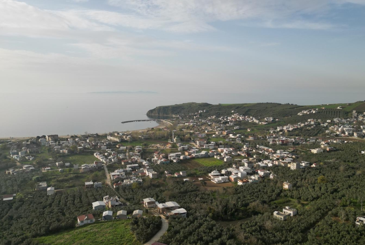 MUDANYA EŞKEL ESENCE’DE TEK TAPULU 325M2 SATILIK TARLA(ZEYTİNLK)