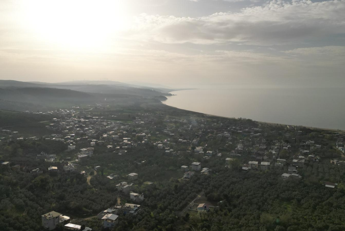 MUDANYA EŞKEL ESENCE’DE TEK TAPULU 325M2 SATILIK TARLA(ZEYTİNLK)