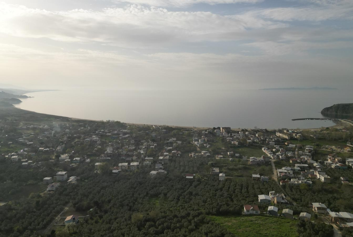 MUDANYA EŞKEL ESENCE’DE TEK TAPULU 325M2 SATILIK TARLA(ZEYTİNLK)