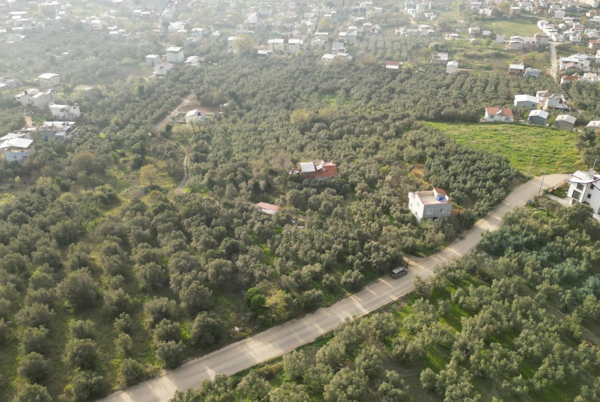 MUDANYA EŞKEL ESENCE’DE TEK TAPULU 325M2 SATILIK TARLA(ZEYTİNLK)