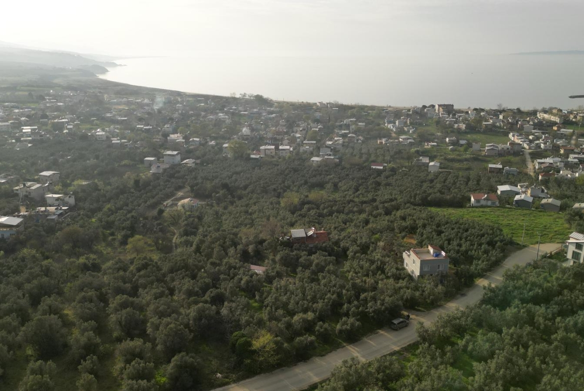 MUDANYA EŞKEL ESENCE’DE TEK TAPULU 325M2 SATILIK TARLA(ZEYTİNLK)