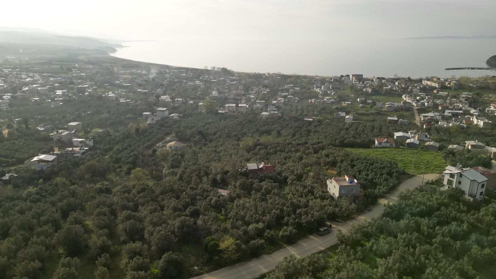 WhatsApp Image 2026-06-26 at 12.25.36 (18) MUDANYA EŞKEL ESENCE’DE TEK TAPULU 325M2 SATILIK TARLA(ZEYTİNLK)