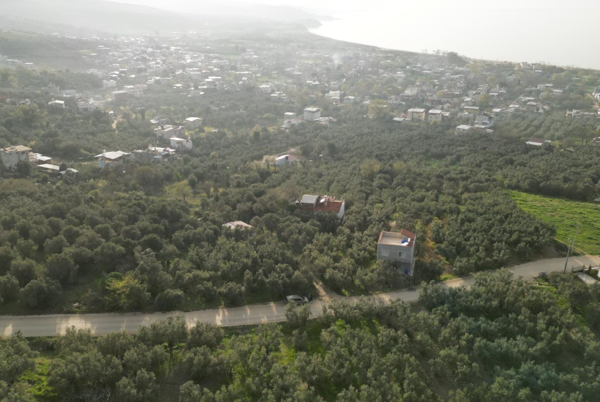 MUDANYA EŞKEL ESENCE’DE TEK TAPULU 325M2 SATILIK TARLA(ZEYTİNLK)