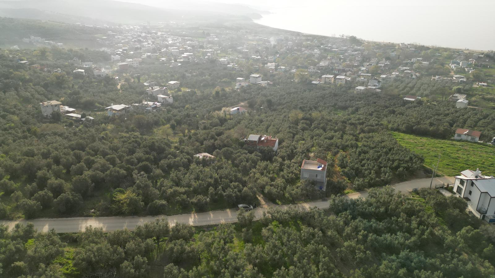 WhatsApp Image 2026-06-26 at 12.25.36 (19) MUDANYA EŞKEL ESENCE’DE TEK TAPULU 325M2 SATILIK TARLA(ZEYTİNLK)