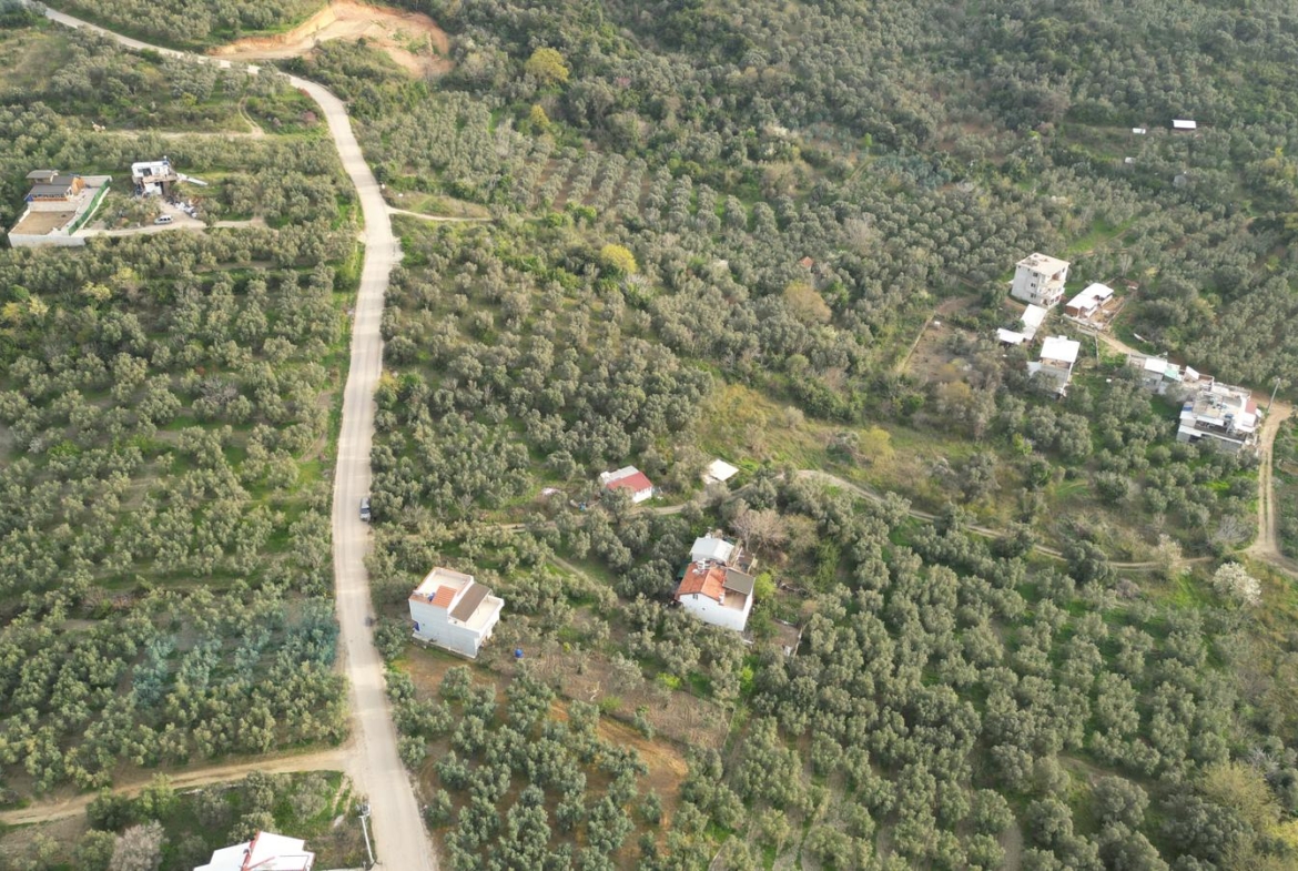 MUDANYA EŞKEL ESENCE’DE TEK TAPULU 325M2 SATILIK TARLA(ZEYTİNLK)