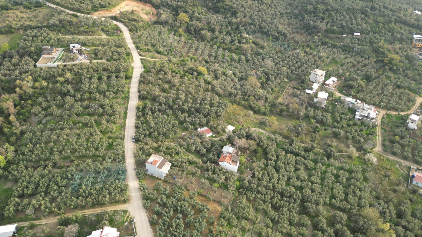 WhatsApp Image 2026-06-26 at 12.25.36 (2) MUDANYA EŞKEL ESENCE’DE TEK TAPULU 325M2 SATILIK TARLA(ZEYTİNLK)