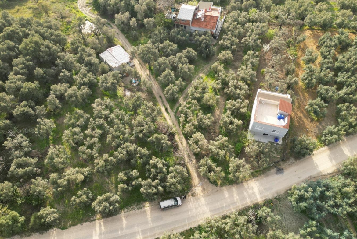 MUDANYA EŞKEL ESENCE’DE TEK TAPULU 325M2 SATILIK TARLA(ZEYTİNLK)