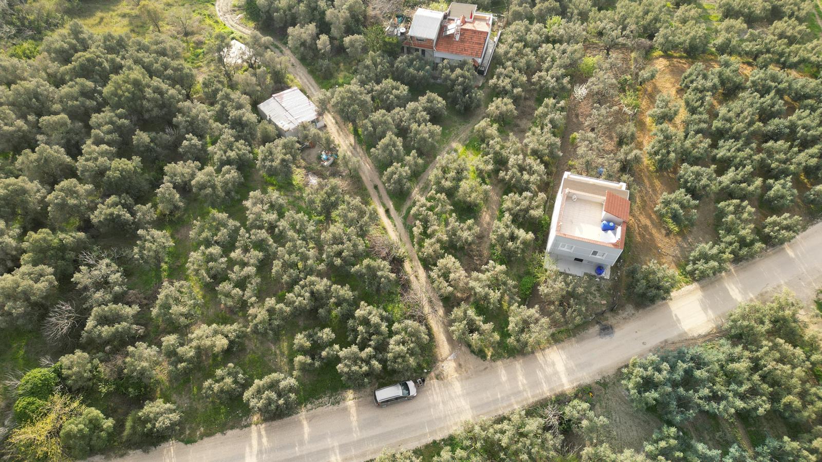 WhatsApp Image 2026-06-26 at 12.25.36 (20) MUDANYA EŞKEL ESENCE’DE TEK TAPULU 325M2 SATILIK TARLA(ZEYTİNLK)