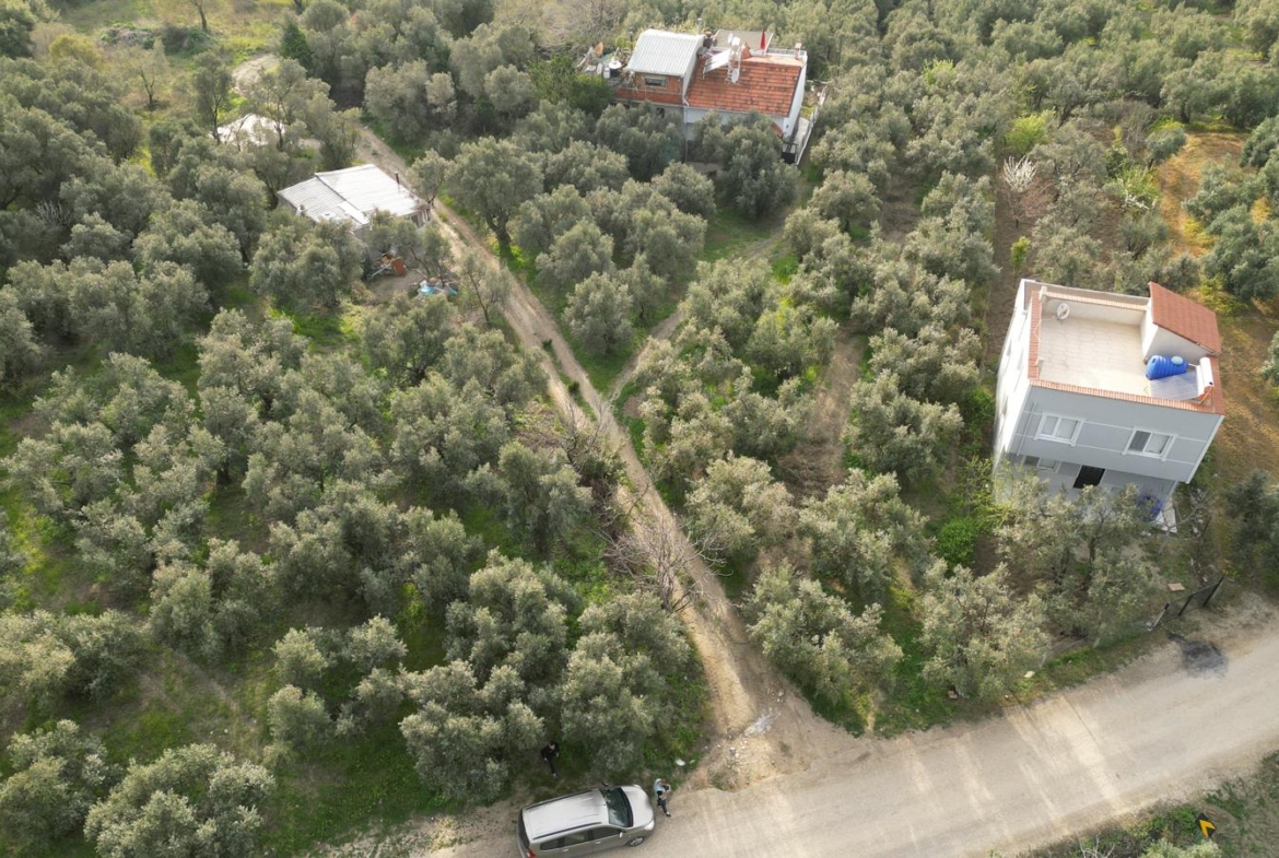 MUDANYA EŞKEL ESENCE’DE TEK TAPULU 325M2 SATILIK TARLA(ZEYTİNLK)