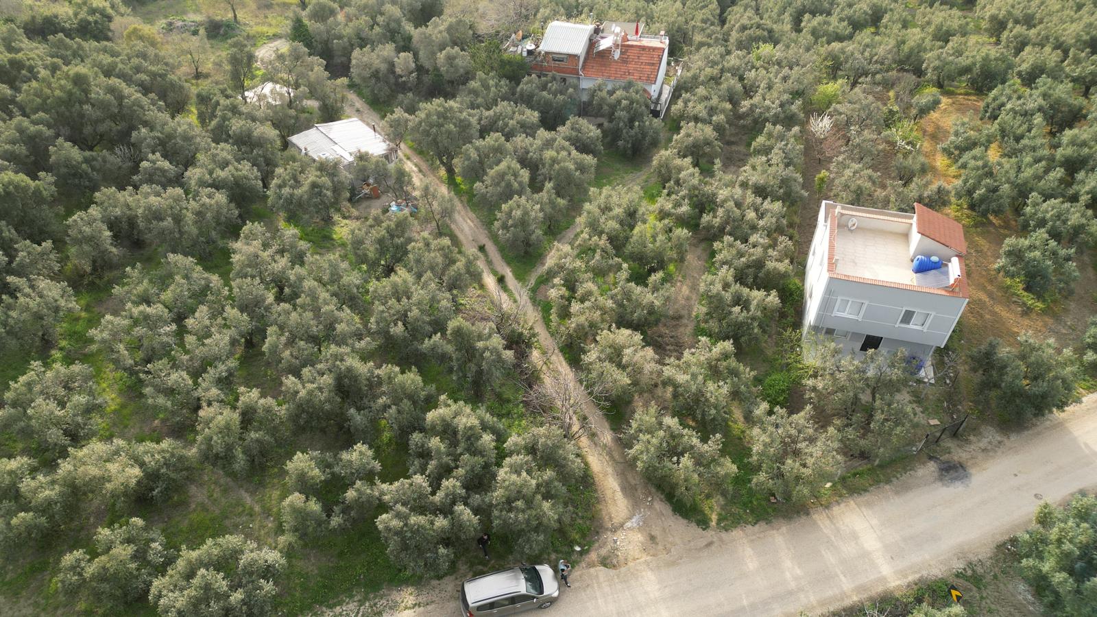 WhatsApp Image 2026-06-26 at 12.25.36 (21) MUDANYA EŞKEL ESENCE’DE TEK TAPULU 325M2 SATILIK TARLA(ZEYTİNLK)