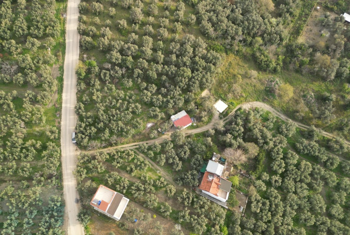MUDANYA EŞKEL ESENCE’DE TEK TAPULU 325M2 SATILIK TARLA(ZEYTİNLK)