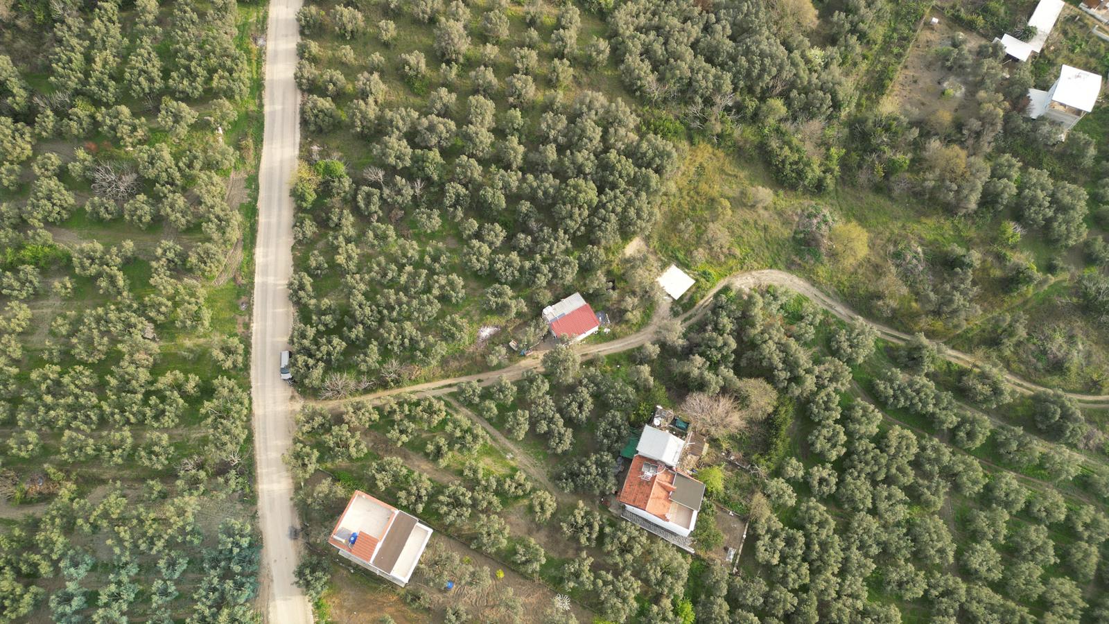 WhatsApp Image 2026-06-26 at 12.25.36 (3) MUDANYA EŞKEL ESENCE’DE TEK TAPULU 325M2 SATILIK TARLA(ZEYTİNLK)
