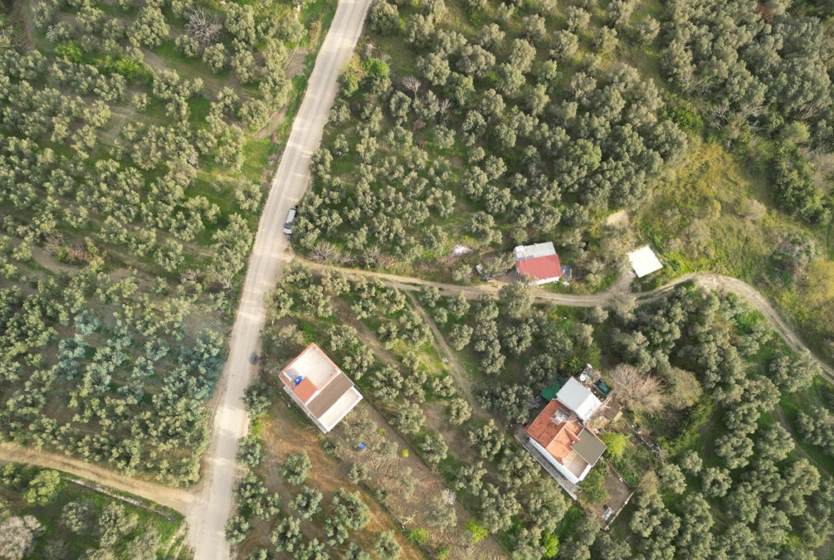 MUDANYA EŞKEL ESENCE’DE TEK TAPULU 325M2 SATILIK TARLA(ZEYTİNLK)