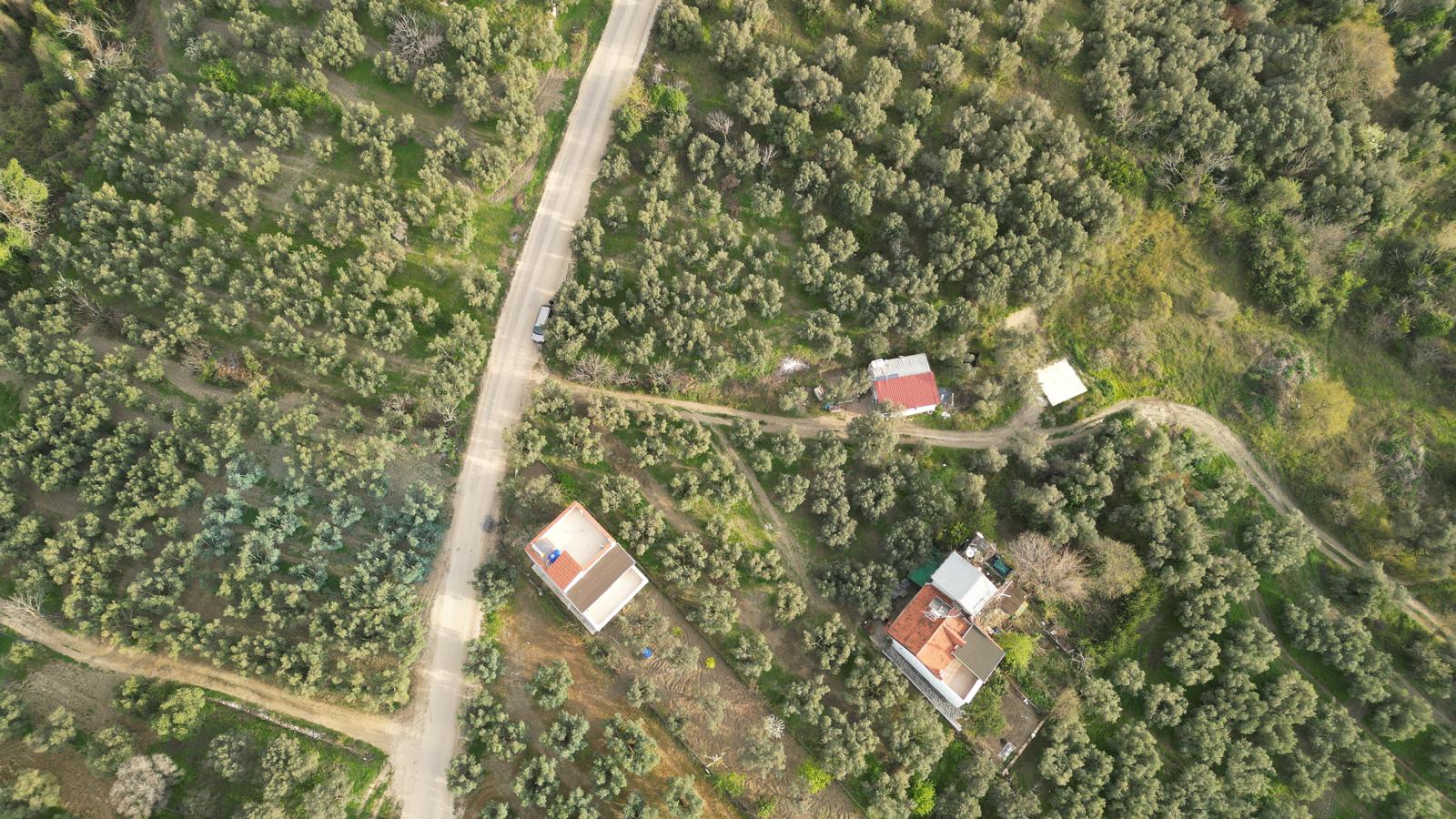 WhatsApp Image 2026-06-26 at 12.25.36 (4) MUDANYA EŞKEL ESENCE’DE TEK TAPULU 325M2 SATILIK TARLA(ZEYTİNLK)