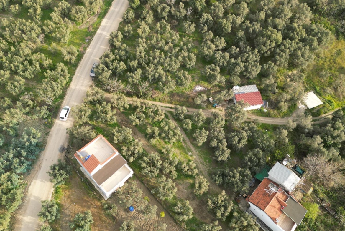 MUDANYA EŞKEL ESENCE’DE TEK TAPULU 325M2 SATILIK TARLA(ZEYTİNLK)