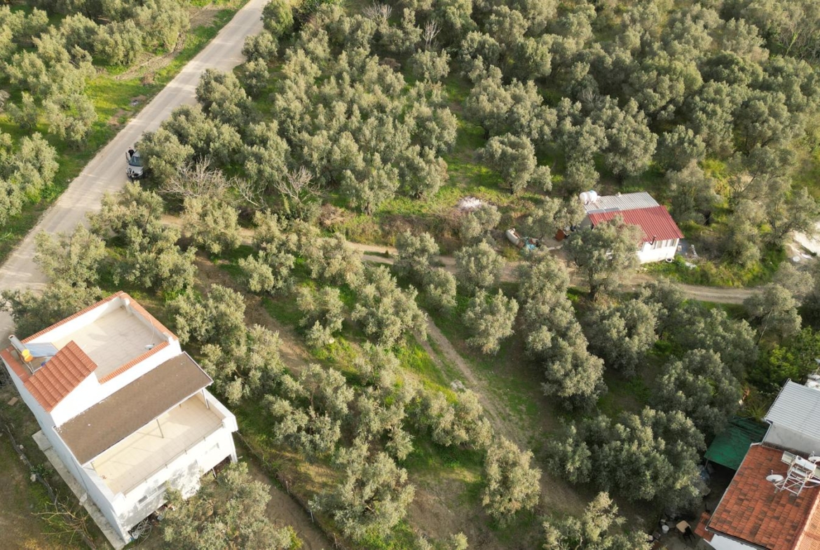 MUDANYA EŞKEL ESENCE’DE TEK TAPULU 325M2 SATILIK TARLA(ZEYTİNLK)
