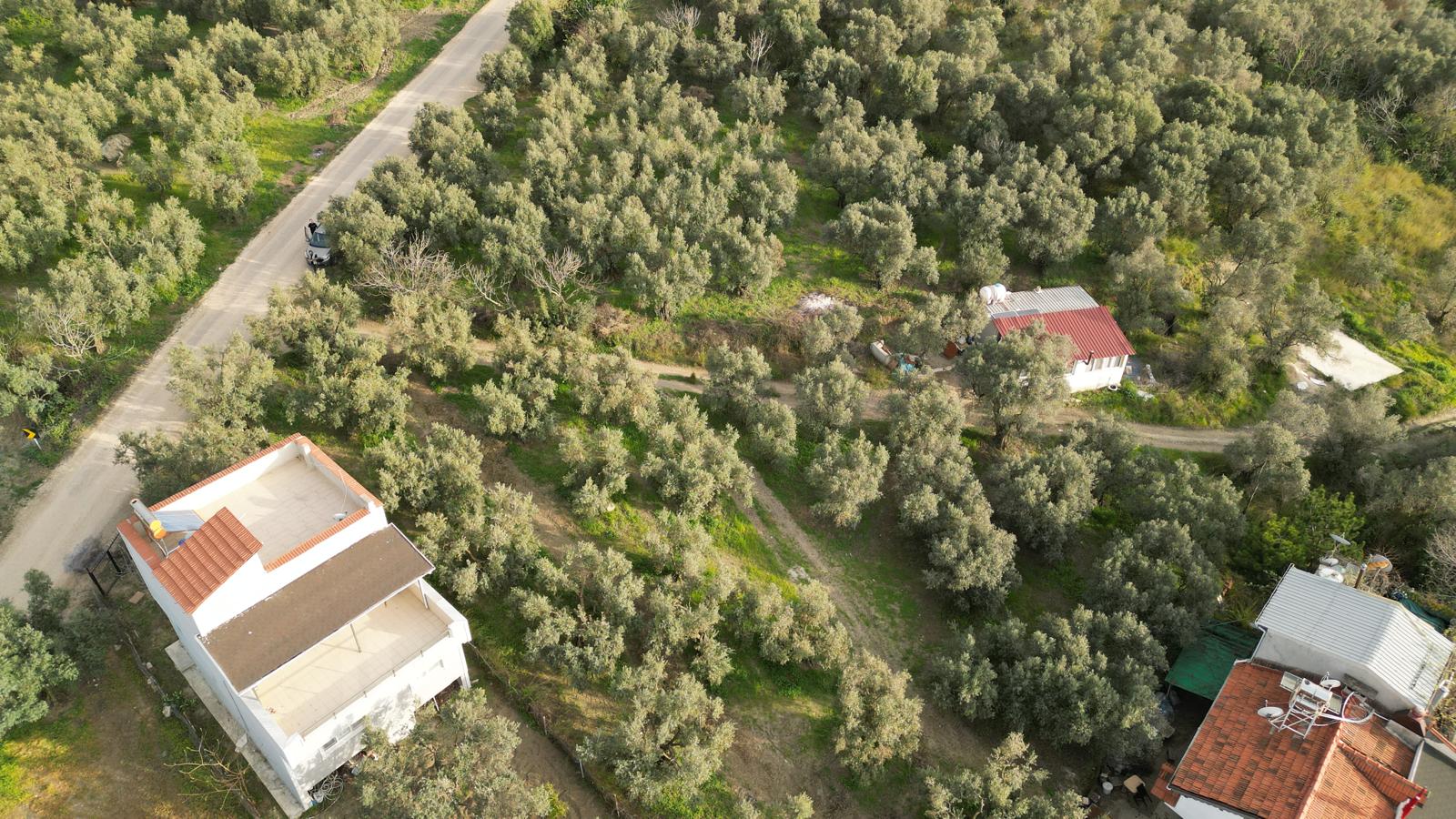 WhatsApp Image 2026-06-26 at 12.25.36 (6) MUDANYA EŞKEL ESENCE’DE TEK TAPULU 325M2 SATILIK TARLA(ZEYTİNLK)