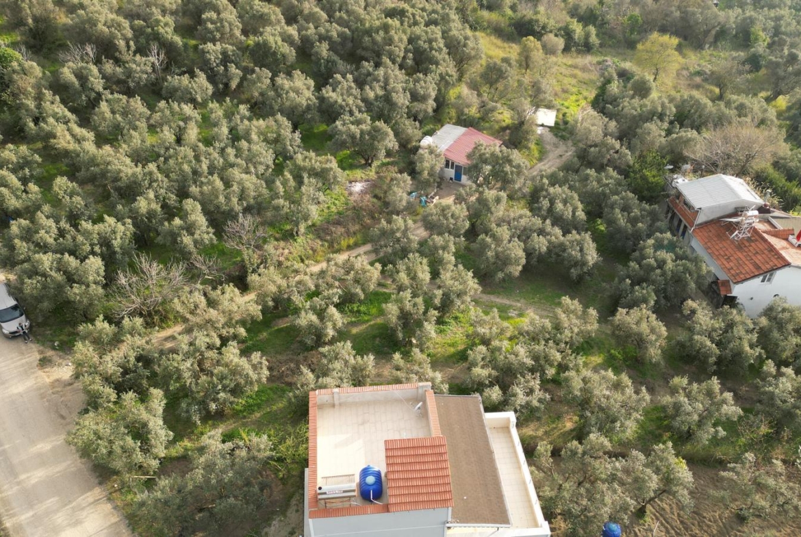 MUDANYA EŞKEL ESENCE’DE TEK TAPULU 325M2 SATILIK TARLA(ZEYTİNLK)