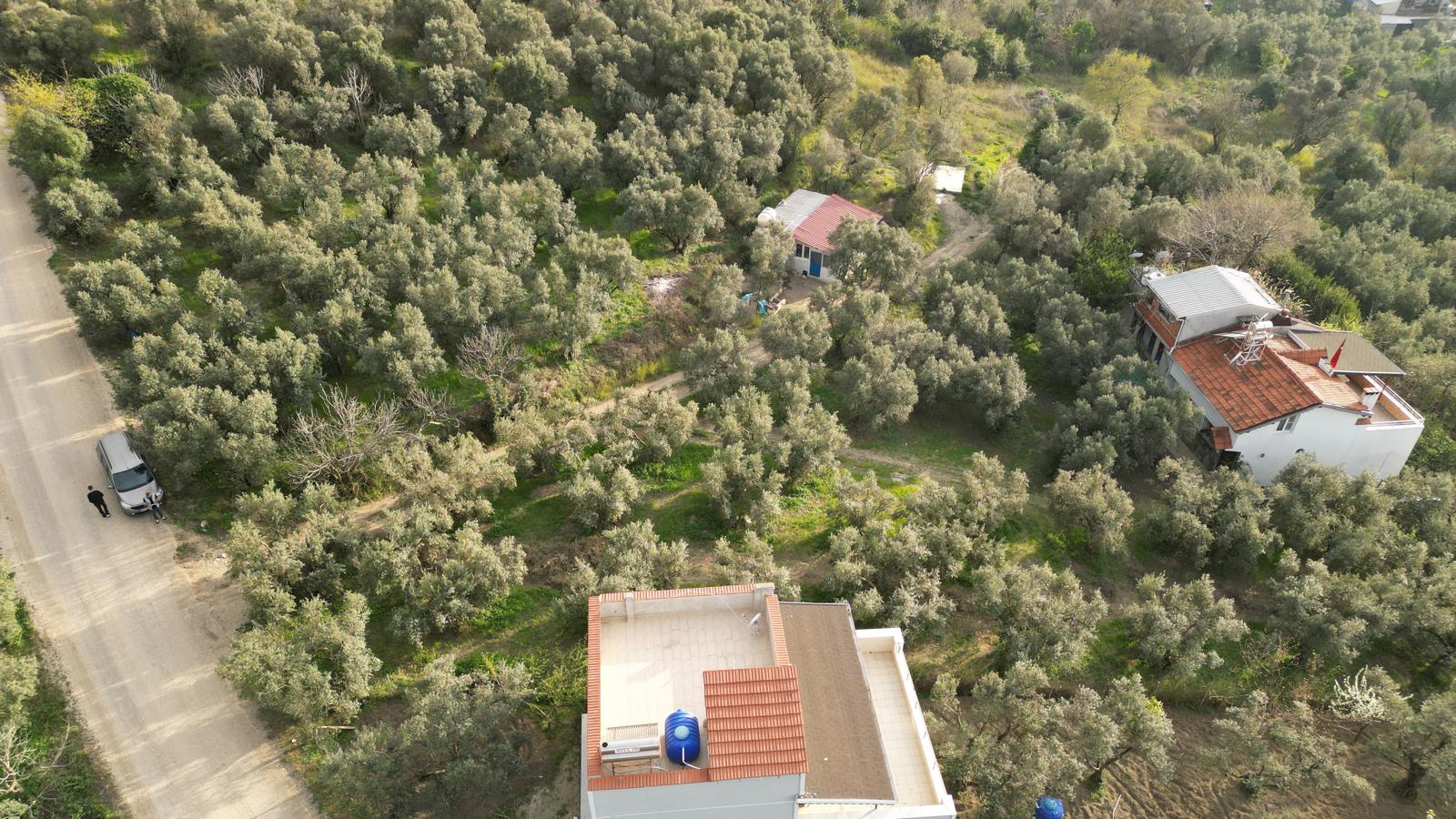 WhatsApp Image 2026-06-26 at 12.25.36 (7) MUDANYA EŞKEL ESENCE’DE TEK TAPULU 325M2 SATILIK TARLA(ZEYTİNLK)