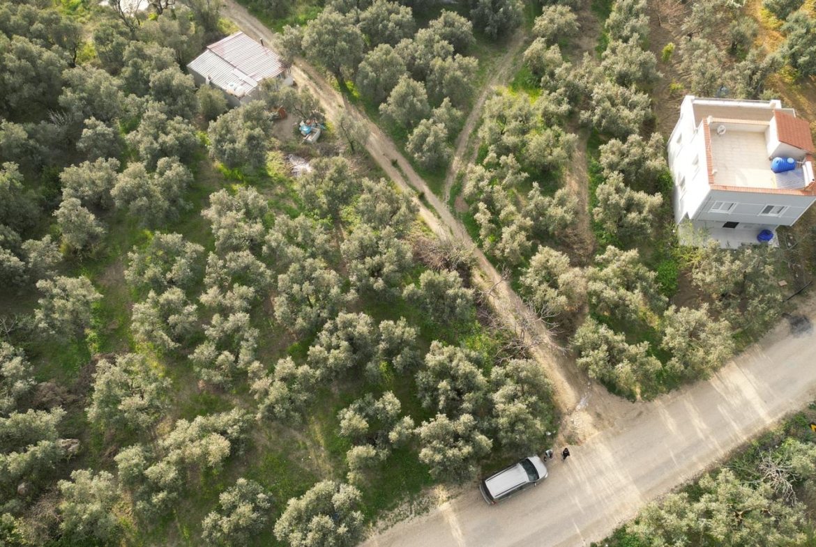 MUDANYA EŞKEL ESENCE’DE TEK TAPULU 325M2 SATILIK TARLA(ZEYTİNLK)