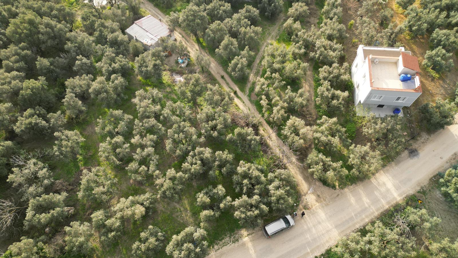 WhatsApp Image 2026-06-26 at 12.25.36 (9) MUDANYA EŞKEL ESENCE’DE TEK TAPULU 325M2 SATILIK TARLA(ZEYTİNLK)